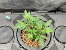 3CDB8A2E-AE1F-46FE-AEC3-45C7859A0B0E