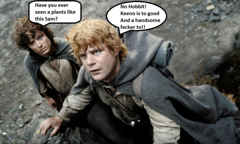 hobbits