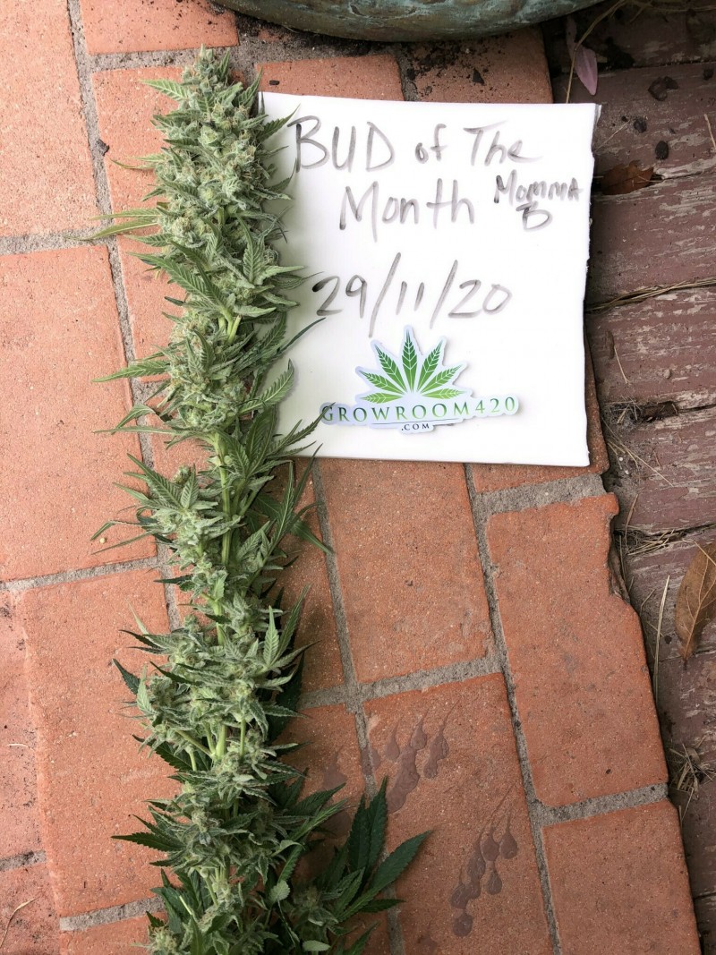 4217DF85-1596-45E9-8CEA-45487BAB65B7