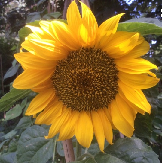 3583DF20-2961-44AD-B359-F2D4D43C0B56