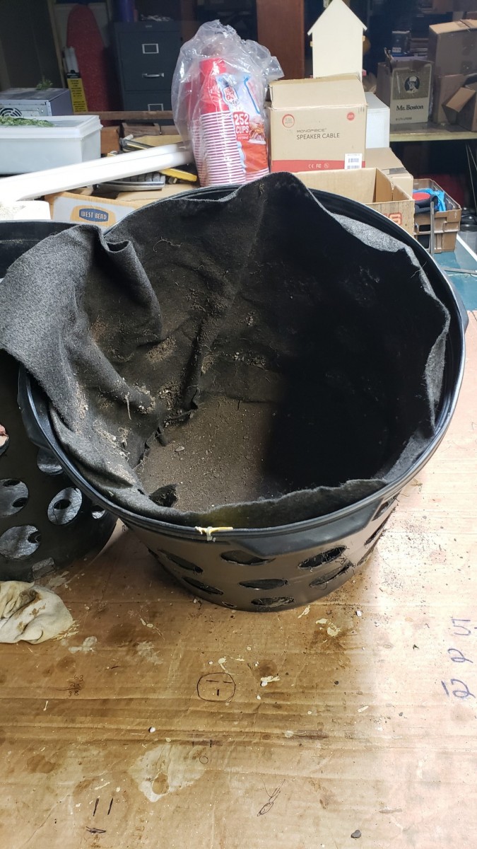 16067952914614640942254295509881