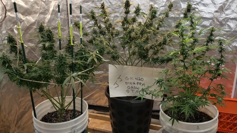 1606798206266960538673216078300