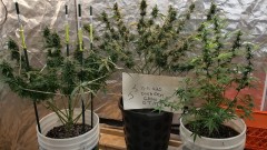 1606798206266960538673216078300