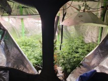 IMG_20201202_110810_941