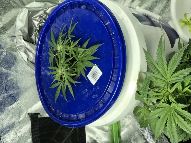 49C6B5B0-BFA7-455A-BADF-A7CE84A2DB20