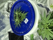 49C6B5B0-BFA7-455A-BADF-A7CE84A2DB20