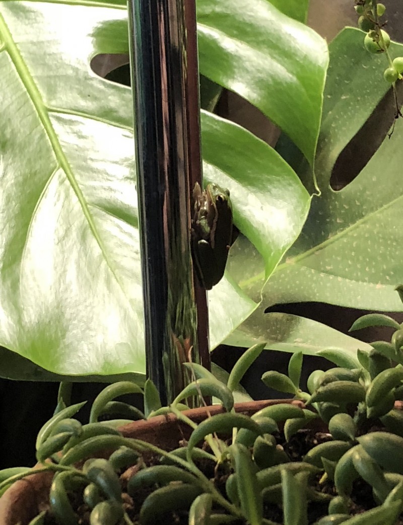 58010074-8909-4E49-B146-671A9A4BE714