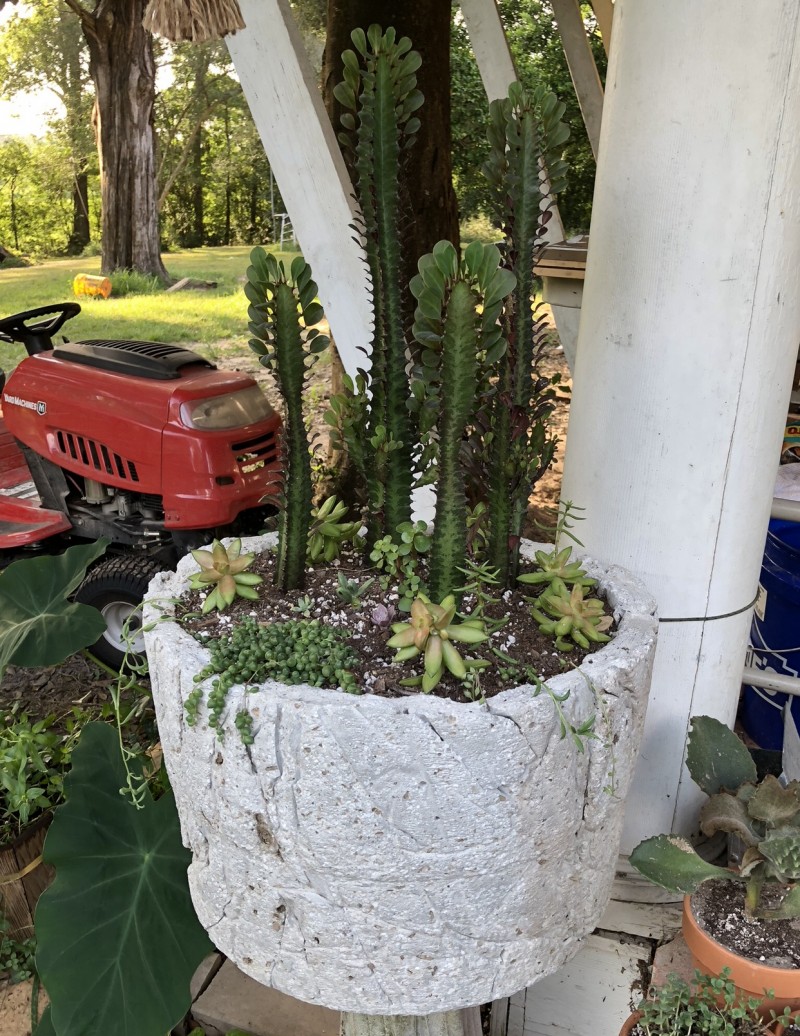 A75B0B0C-171A-43EA-928B-EF4420DE9542