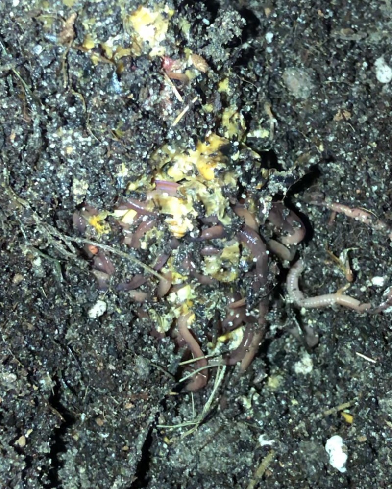 FB3E3BE3-ACDD-4FD5-BCF2-A1BF56870807