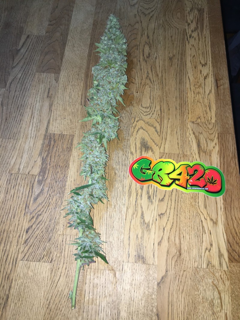 88A0240D-011B-4E19-8A26-73CA5BE2B6A5