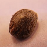 IMG_20201202_151538_560