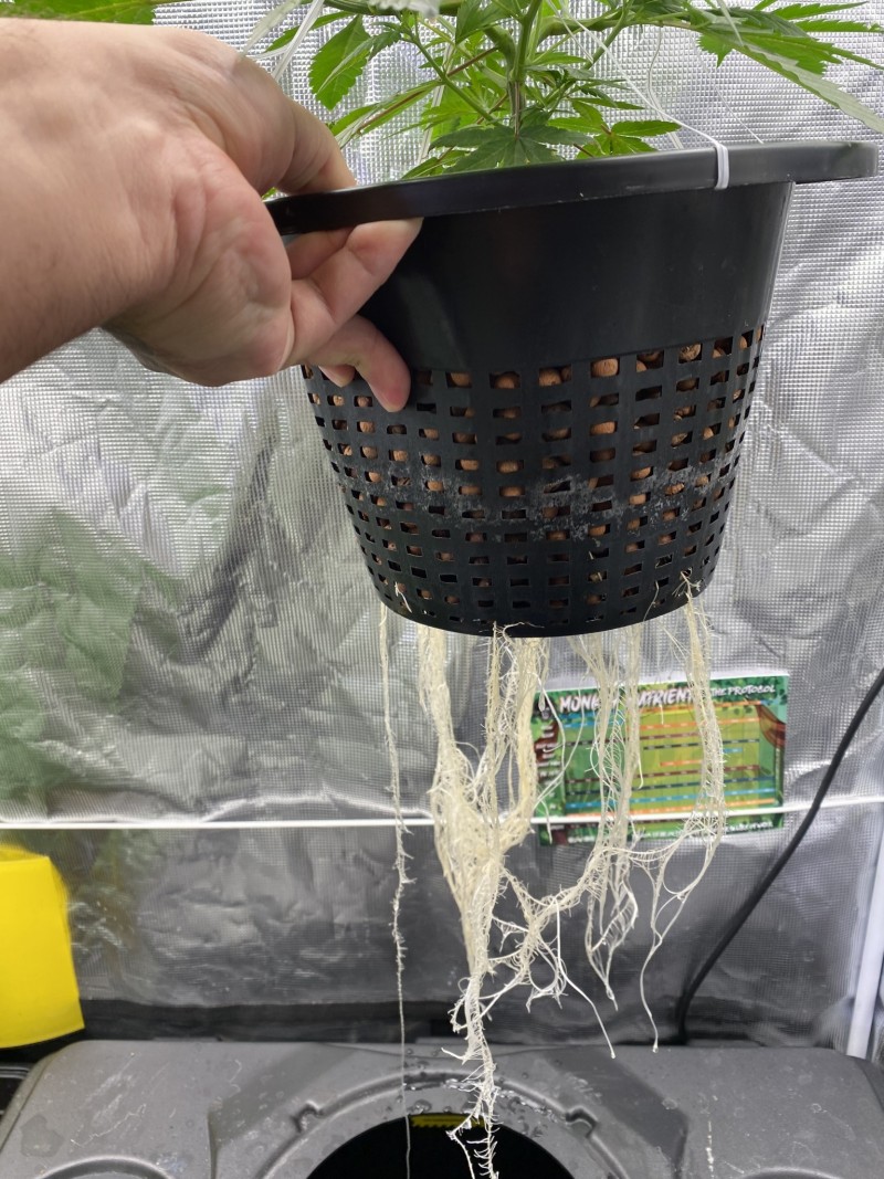 B55B0622-ADCA-4168-AD9A-04ED4C636D10