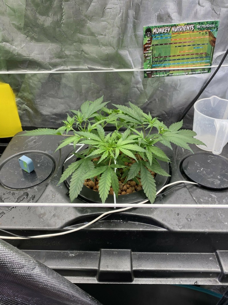 36B09166-6CA0-4F5E-A7C7-AABC1CA46FCF