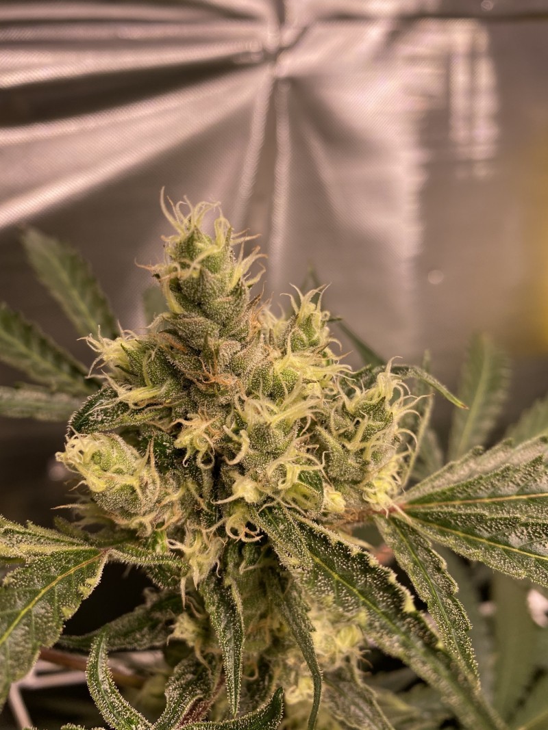 660FCDD9-2869-41AE-9D4E-1F71327D928A