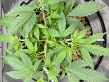 30E20668-07CA-4058-95F3-7941B450980D