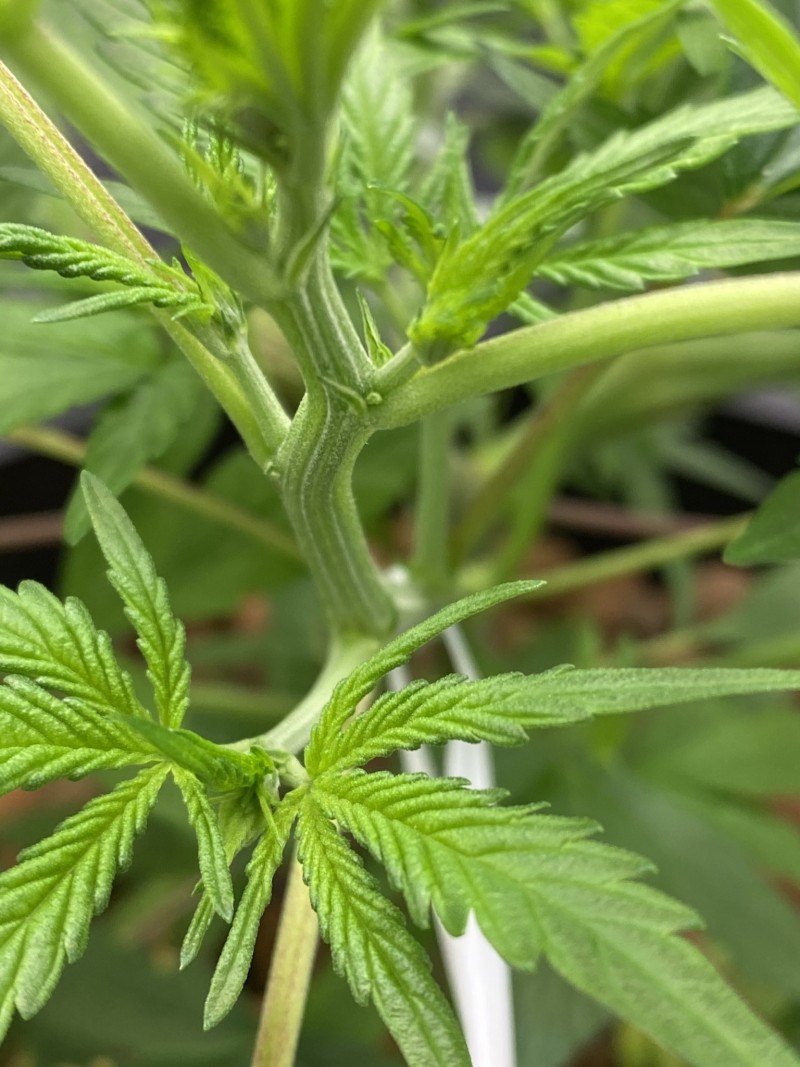 22F67901-83ED-43E6-9935-165CA6A2A209