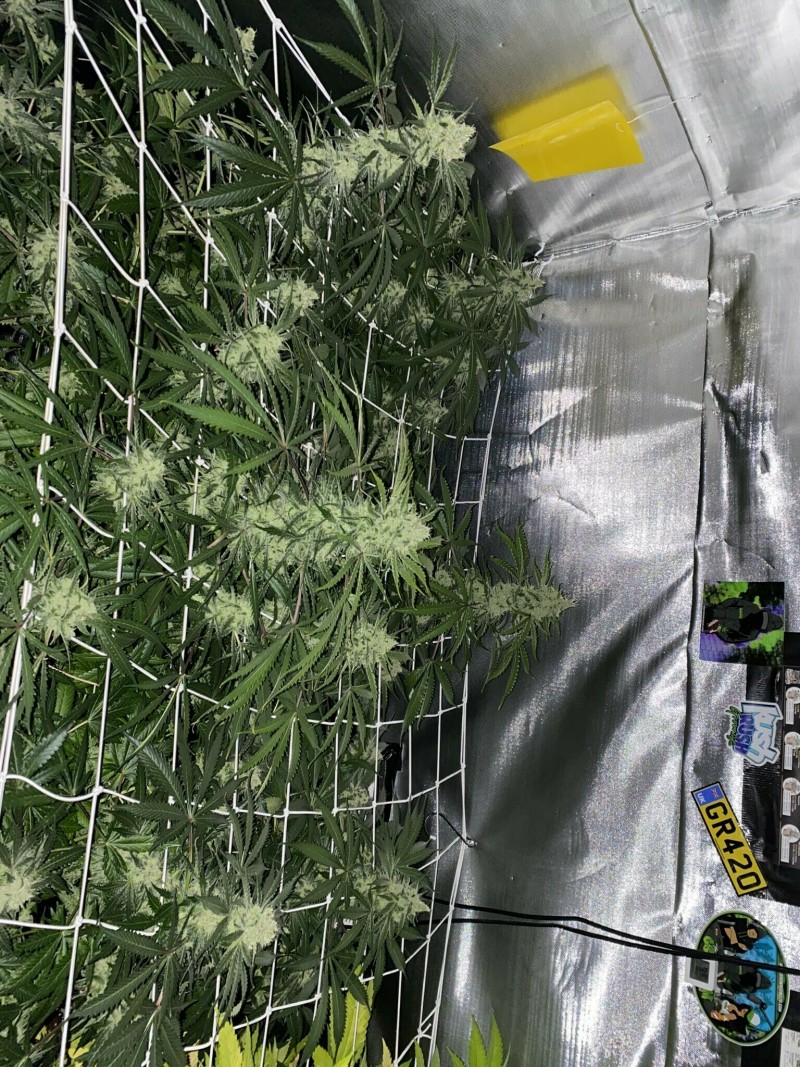 46938B78-D003-46E2-9729-F3A8EBEB0B19