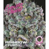 zkittlez-feminized-5-pack