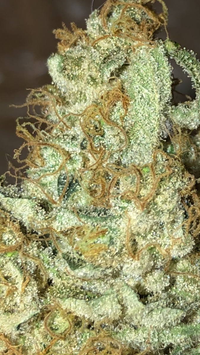 C6BEA03D-BBFB-44B8-8FB8-914A4DFDEF9E