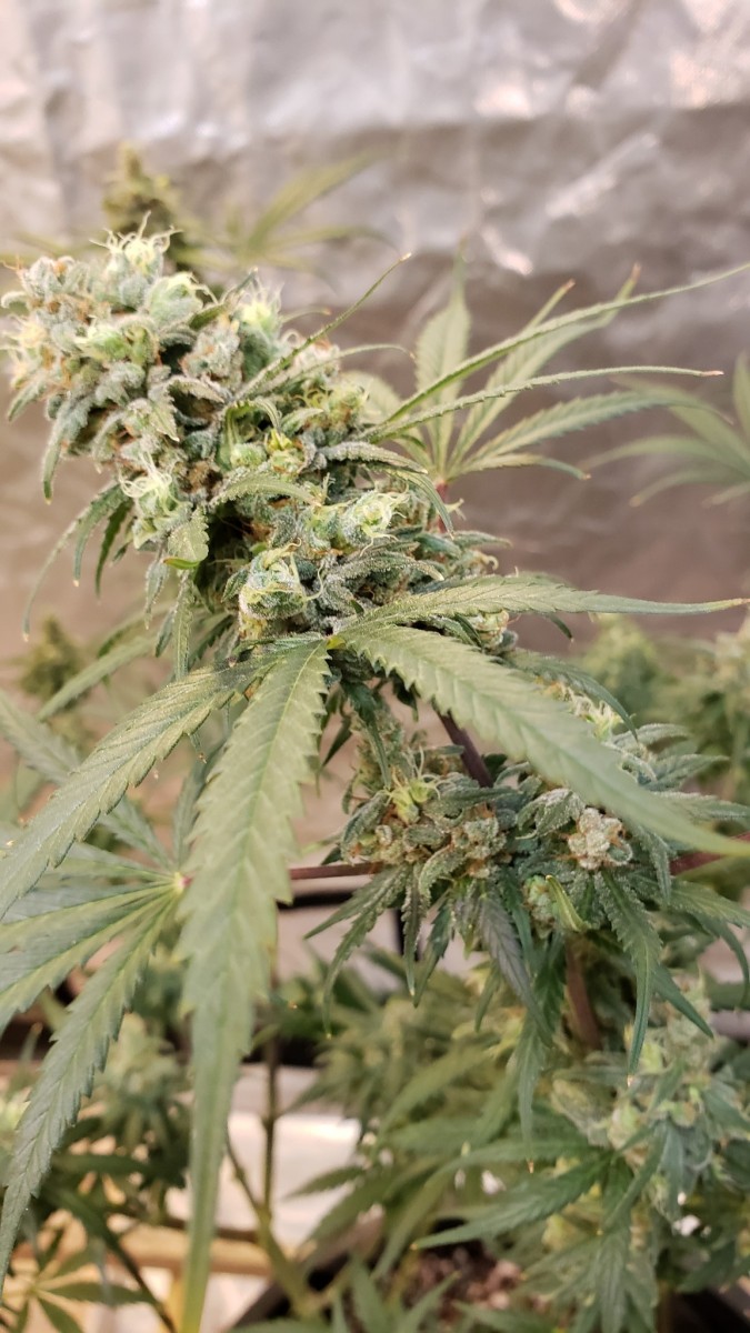 16073847094842099945882443014265