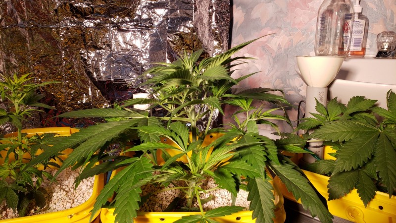 16073856469882334338850362912870