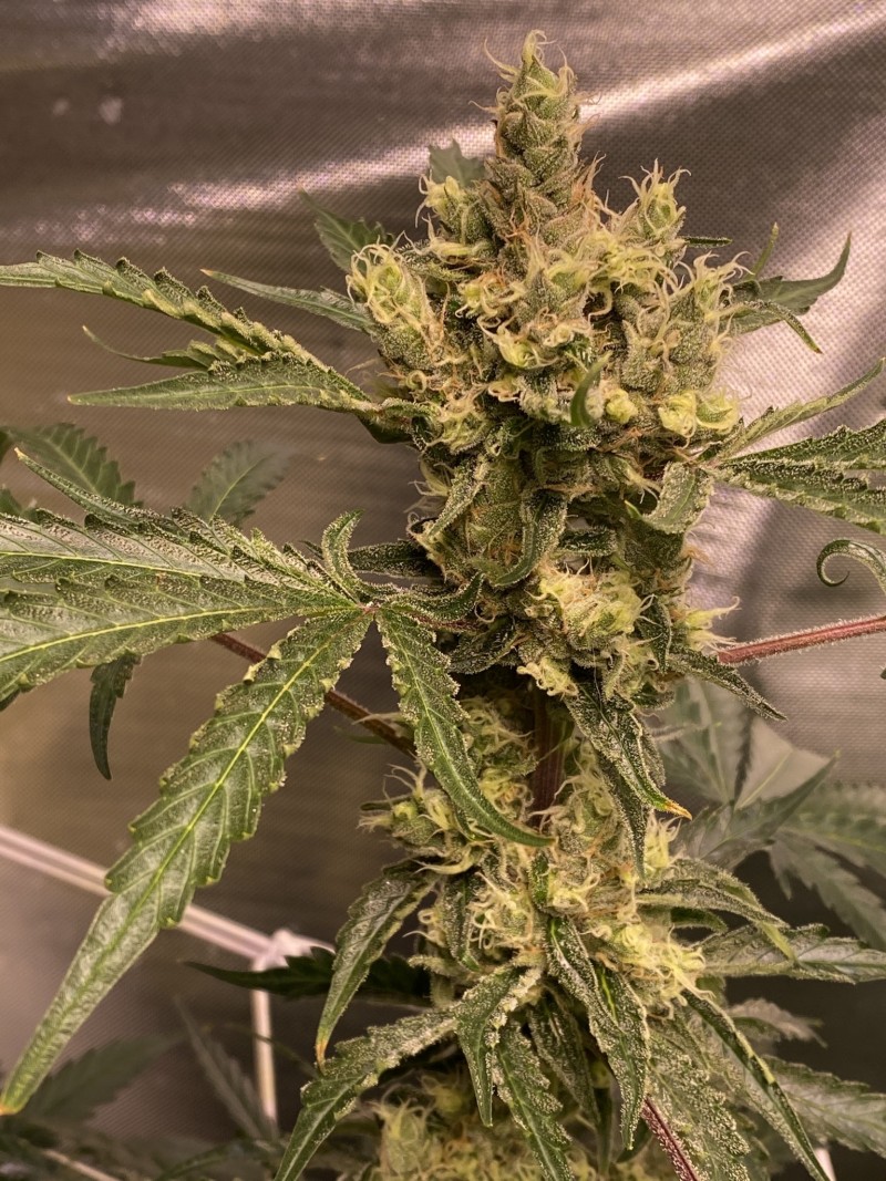 57935E08-FF12-41E3-9F79-BA1C83562FA2