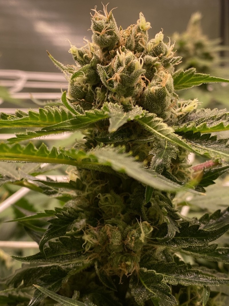 3FD9A51D-0414-4300-8EFC-4916641C90B9