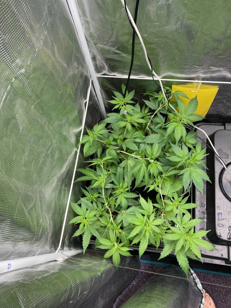 0B6C86E7-0EA8-4460-AA27-3935BEF12E26