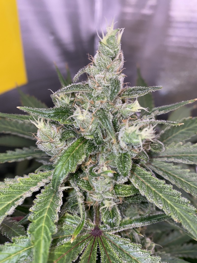 13B623C6-DC97-44E2-AA10-842D6A621AC7