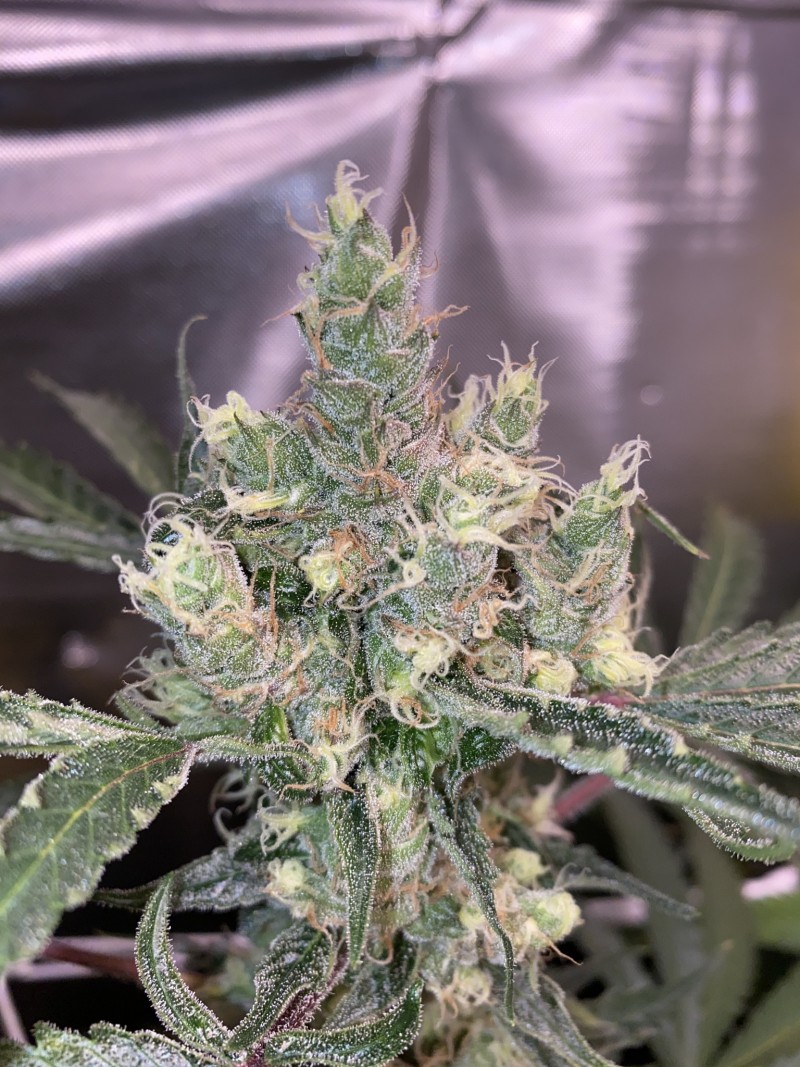 F769C4CE-47B5-42DC-8F51-077CEBF2444E