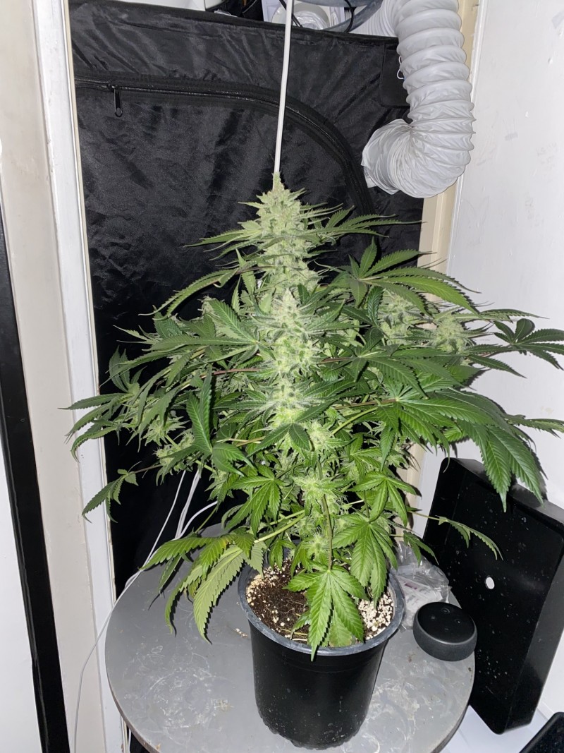 FA7E3A1E-06FD-42D6-8D44-F438D929DBE3