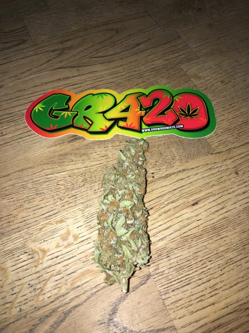 17DD57F6-9031-440B-A9B4-8A9A06B27BBD