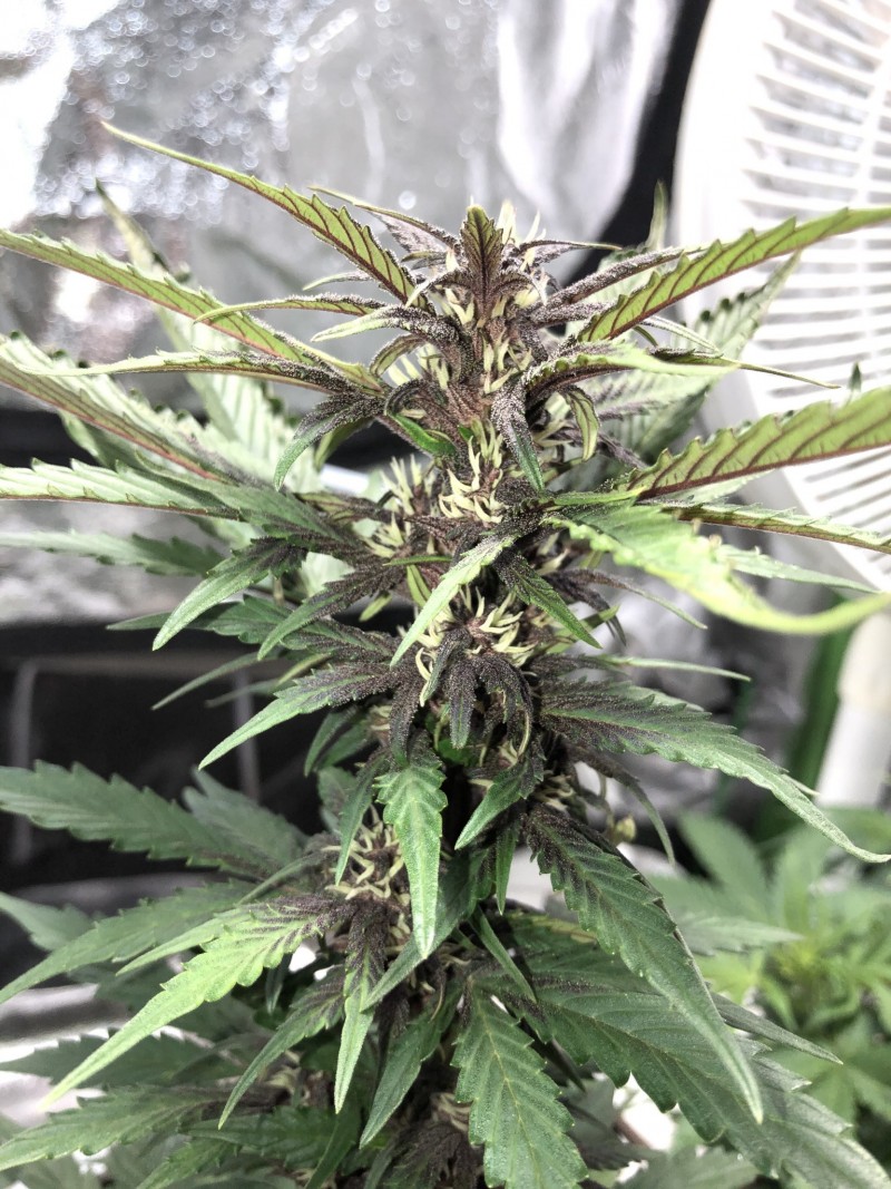 35C5D347-F4FF-4905-AC96-302F981432AA