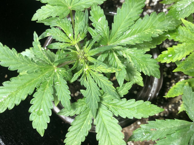 E45355F4-35E0-4E63-9C6D-B15BFF2F473C