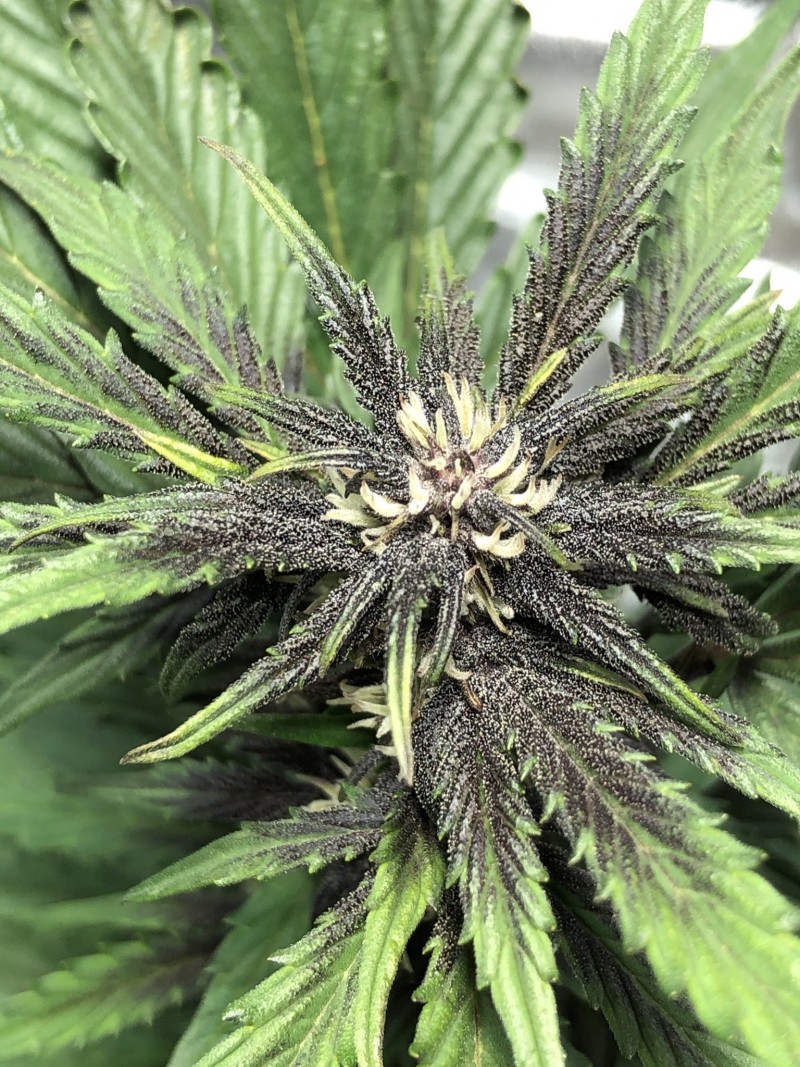 3D10464A-3818-4360-989B-E2205DB9D4E9