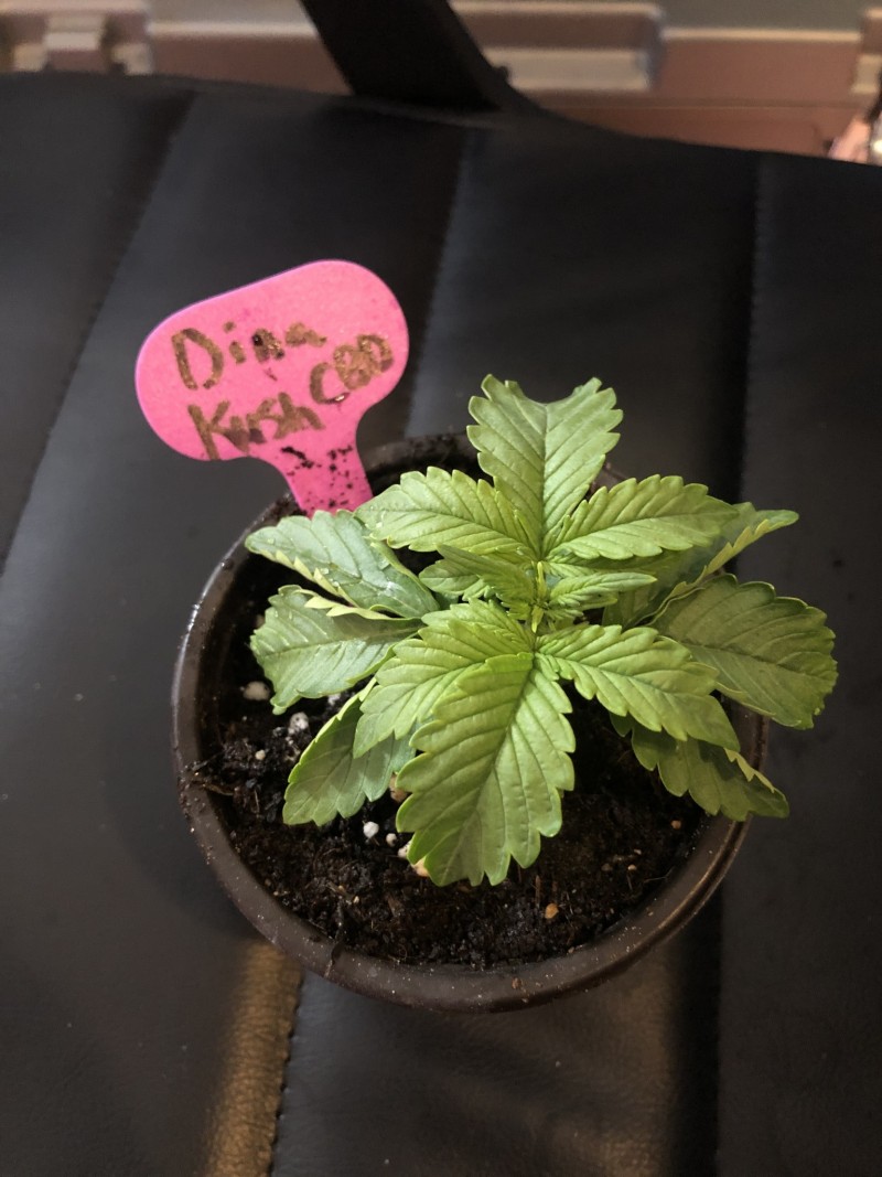 EBADDFCE-7BC3-4E27-ADEC-5ADEB486E560