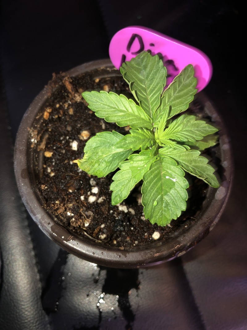 902DCA4F-CD46-4843-A2AA-C6B9CABDCD25