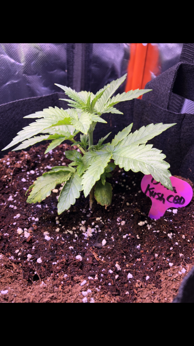 83F0603E-9908-44F1-A526-5E578BE9D3E2