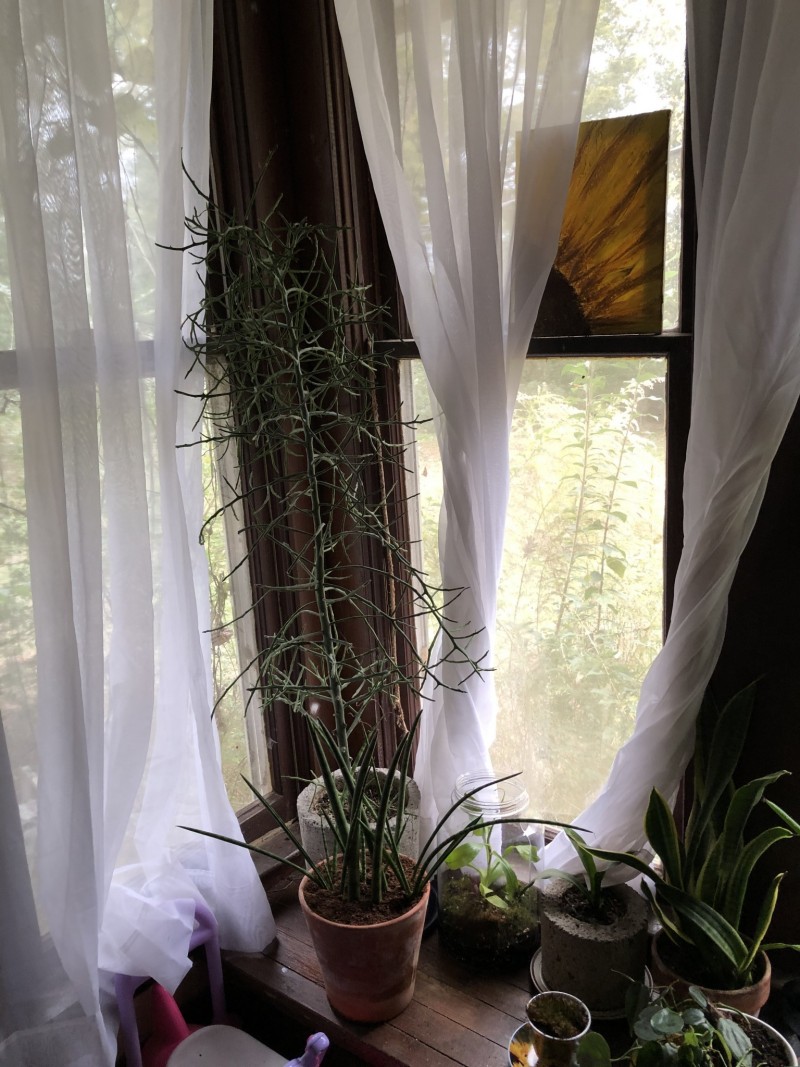 FC3E0698-76FF-41EA-AA63-6B1CE9A6A59D