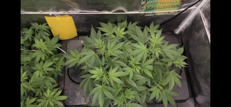 7AC1AC73-9C55-4FAA-9AEC-1102558609C7