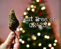 D51C6B0D-BE79-4CB3-AECF-7872443B244C