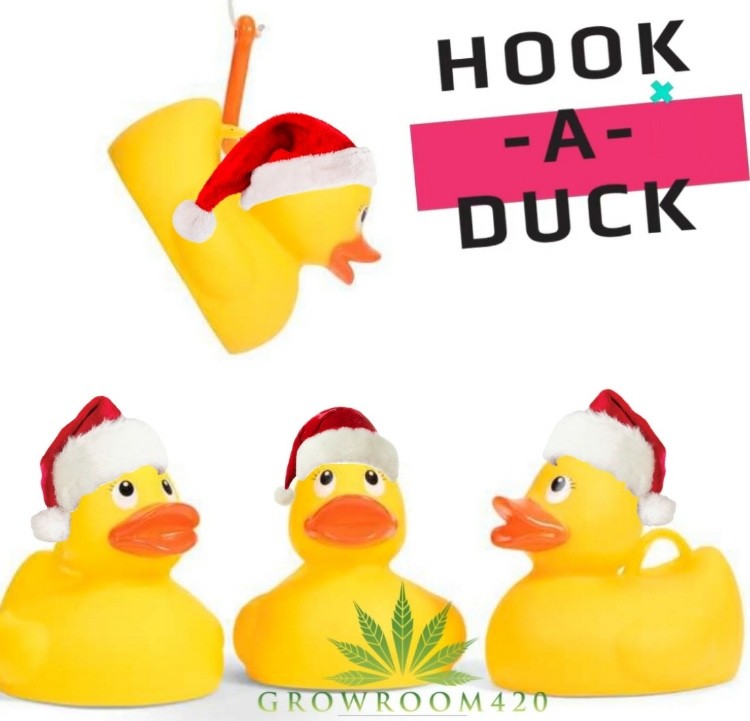 88C4137F-39A8-46D7-9478-B966CD9E04D1