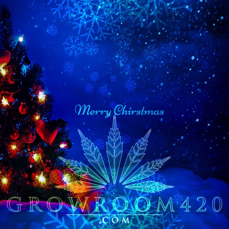 mn xmas gr420