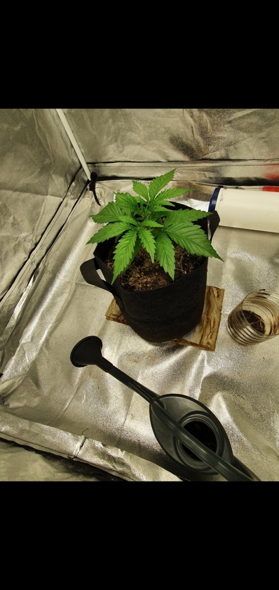 Screenshot_20201216-093647_Gallery