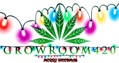 mn gr420 logo xmas lights