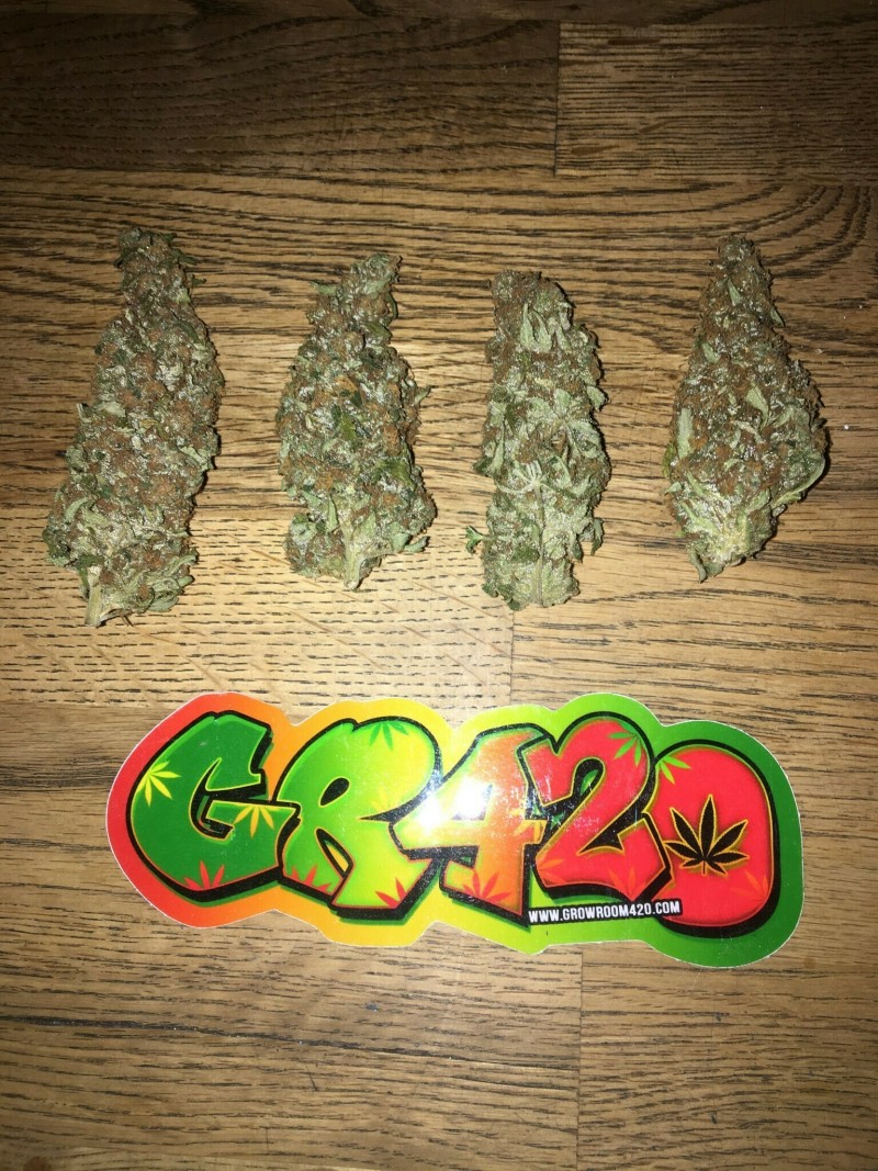 5E6E1228-0586-437D-B74D-45AA0B2BE1E7