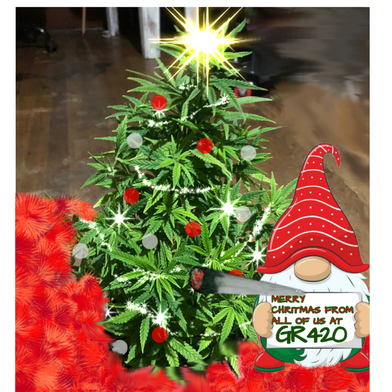 Untitled922_20201216150003