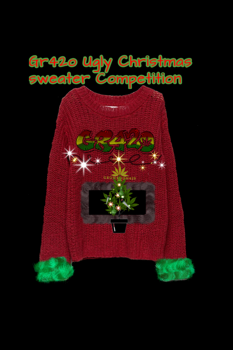 Untitled917_20201216123132