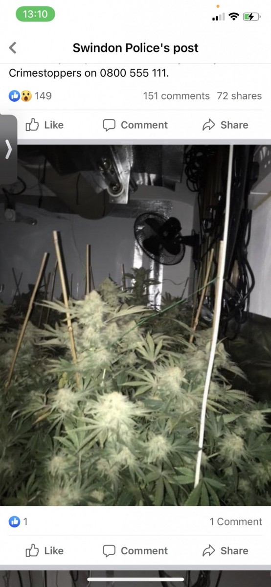 C8A098B2-9985-4F3B-B26A-00FE52BA70E0