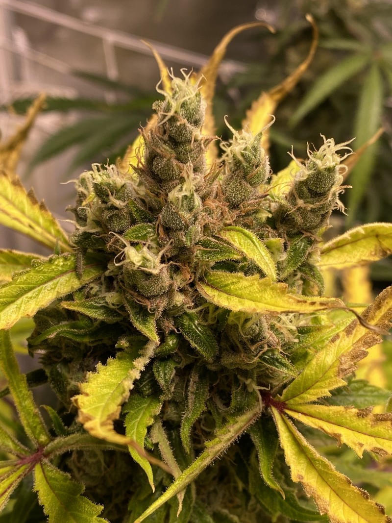 0F0BE94D-0359-4E1A-AB74-700465C5C82F